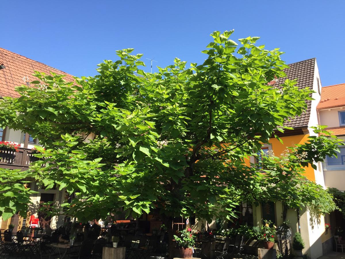 Gasthof Zum Storch พริคเซนชตัดท์ ภายนอก รูปภาพ